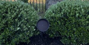 Whole-Home Audio Upgrade in Napa Valley Vacation Home